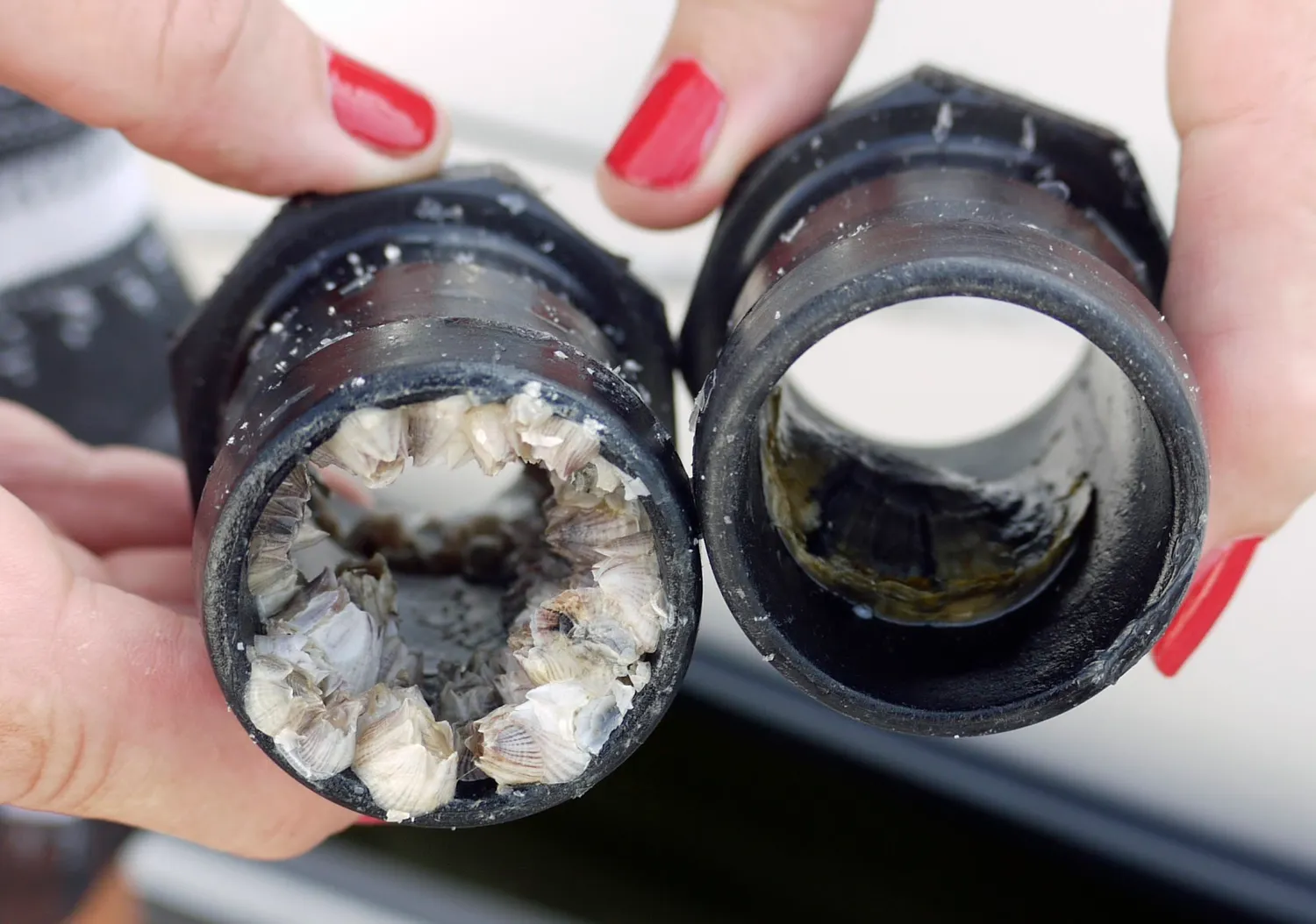 CorrosionX BarnacleX skrogrens 1 gallon kalkopløsende