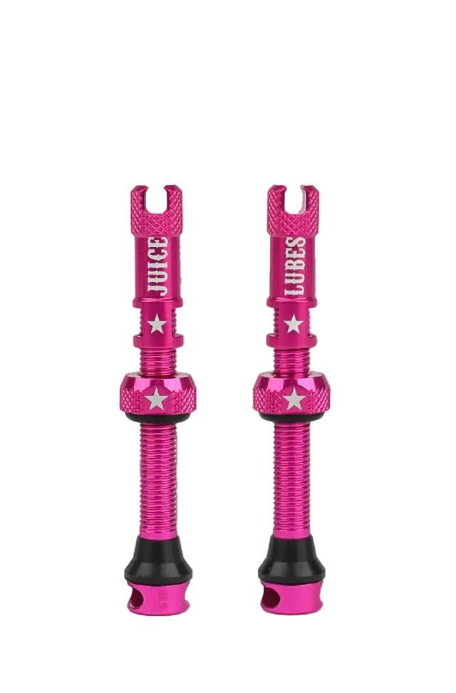 Juice Lubes Tubeless Valves ventil 48 mm sort