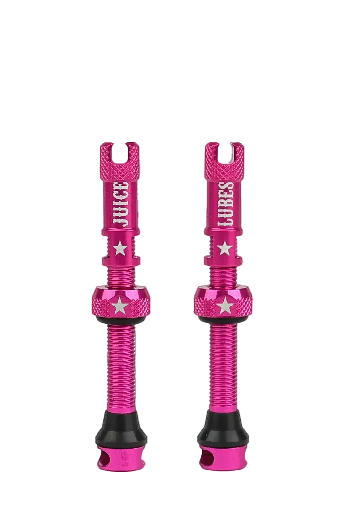 Juice Lubes Tubeless Valves ventil 48 mm sort