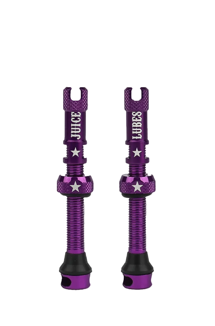 Juice Lubes Tubeless Valves ventil 48 mm sort