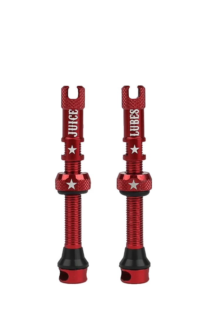 Juice Lubes Tubeless Valves ventil 48 mm sort